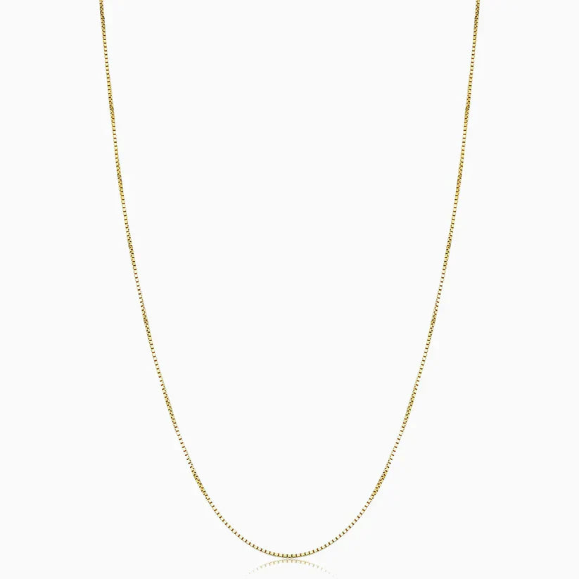 Collar Bodega Box