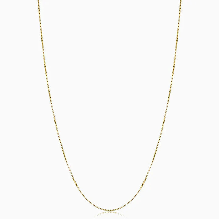 Collar Bodega Box